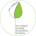 EM-Verein Schweiz